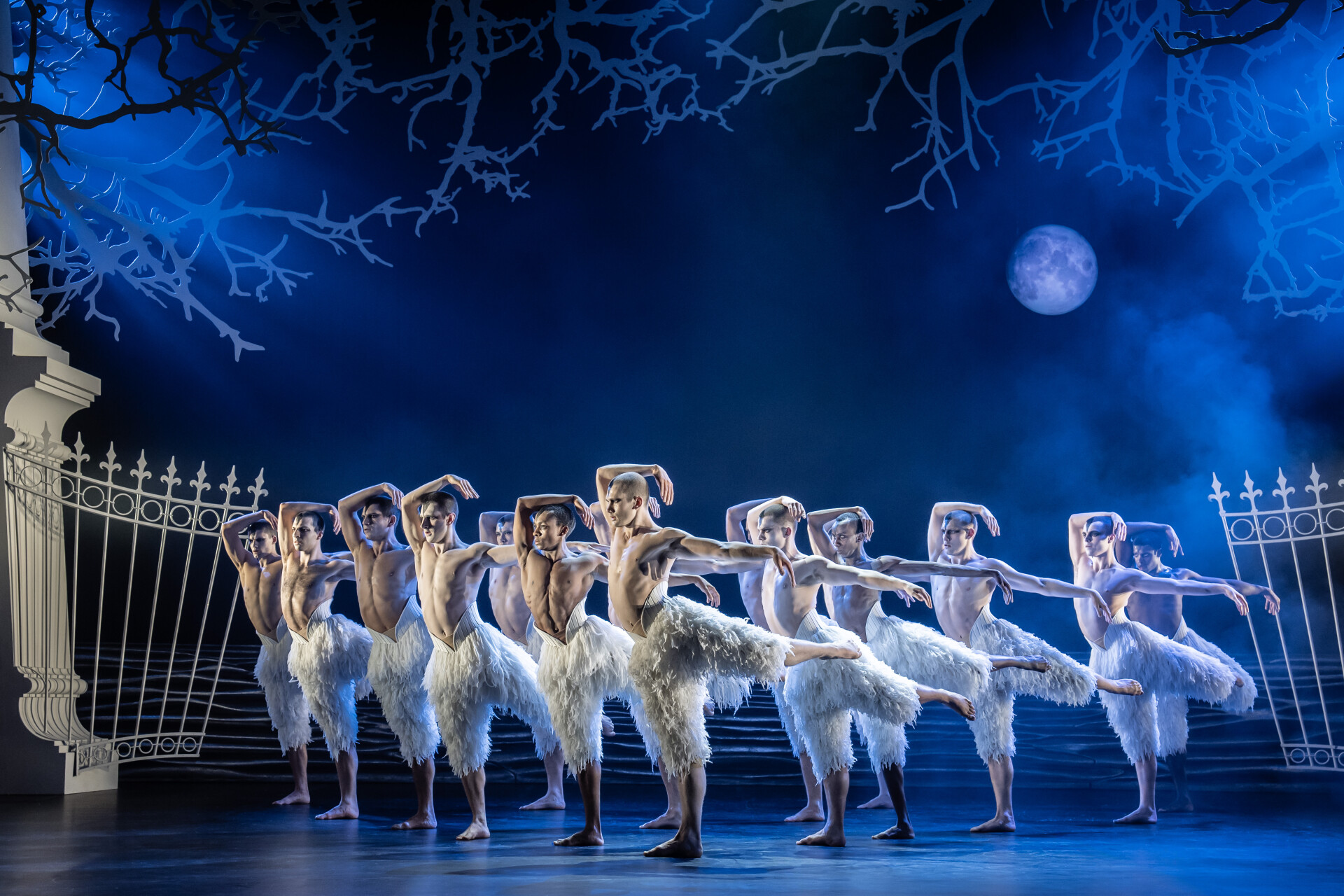 Swan Lake