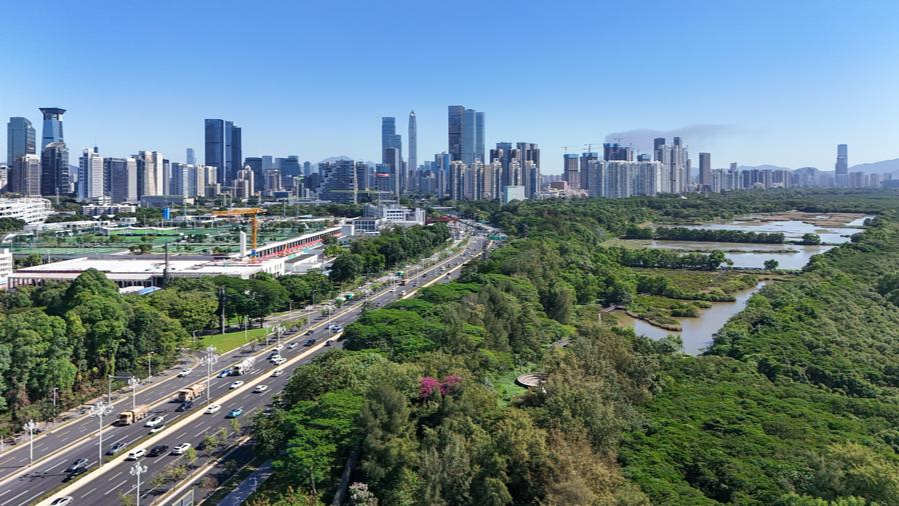 Guangdong's private firms driving province's foreign trade