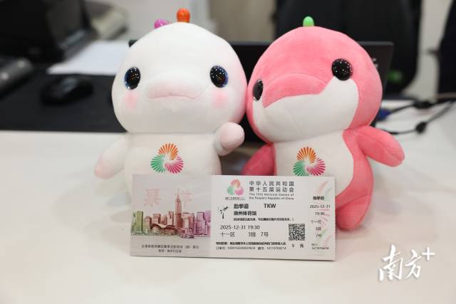 十五运会比赛门票票样。