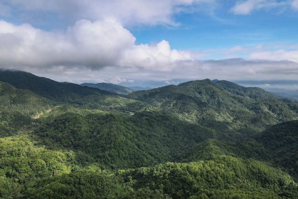 这是2022年5月19日拍摄的海南热带雨林国家公园五指山片区景色（无人机照片）。 新华社记者 张丽芸 摄