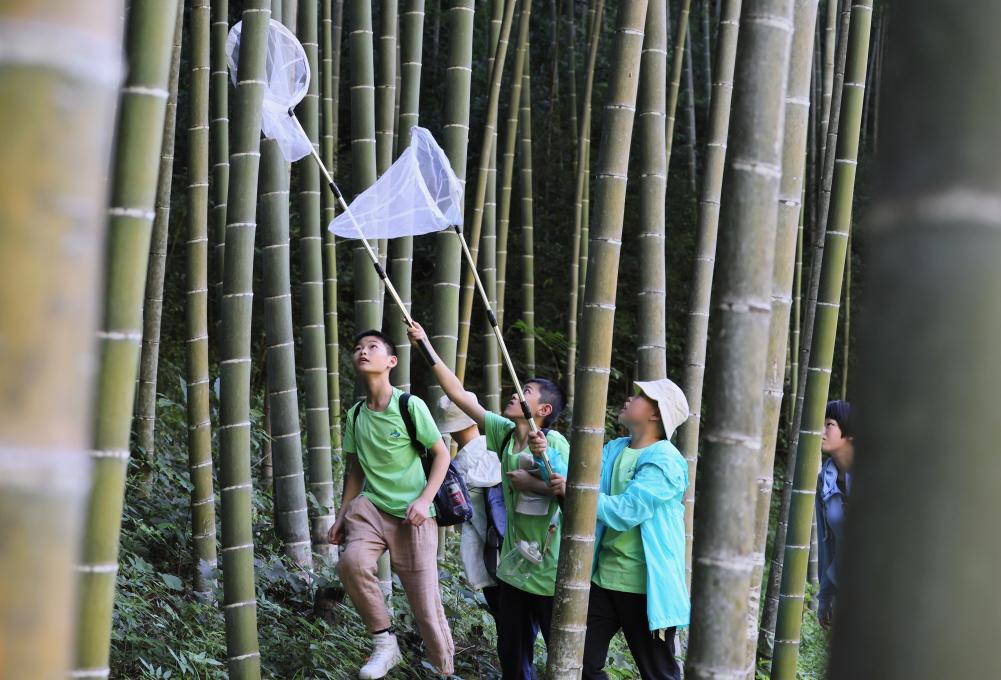 　　2022年7月，首届武夷山国家公园自然教育活动在武夷山国家公园举行，参加活动的中小学生在武夷山国家公园大竹岚捕捉昆虫。新华社记者 姜克红 摄