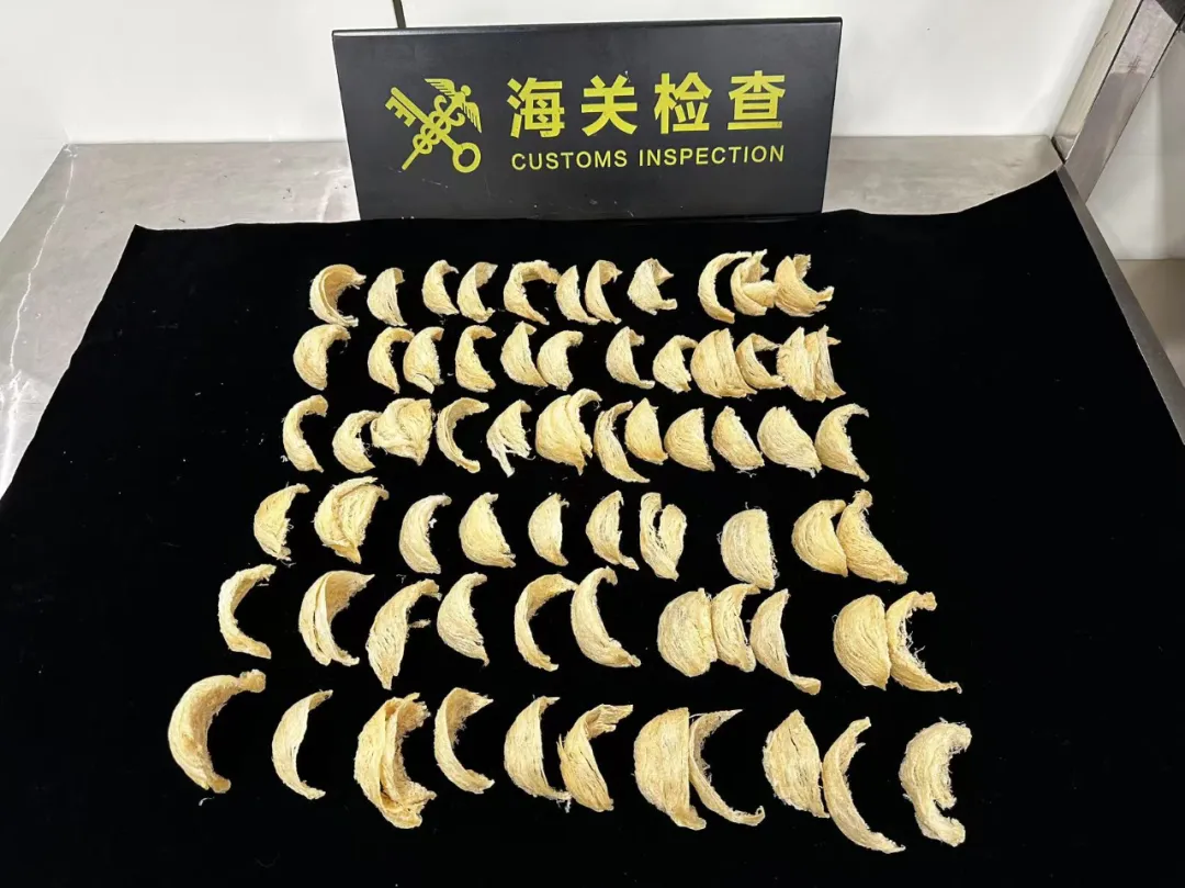 图源：“海关发布”微信公众号