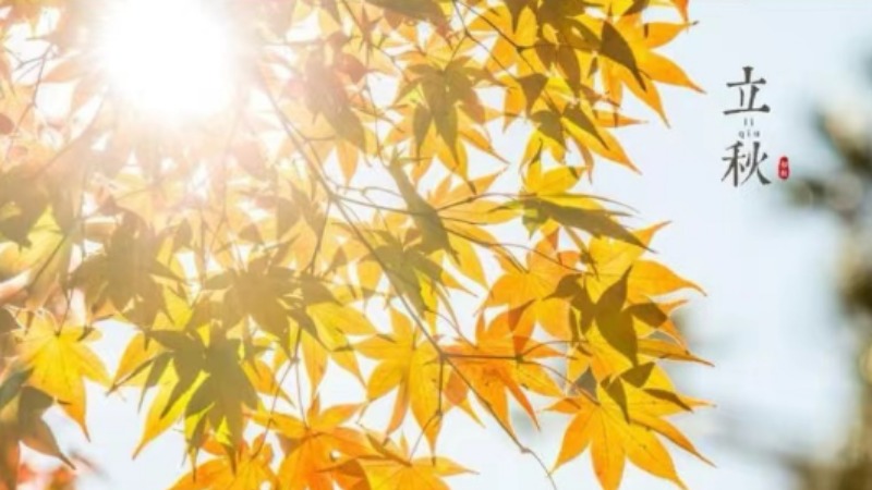 立秋时节如何养生？这份健康指南请收好