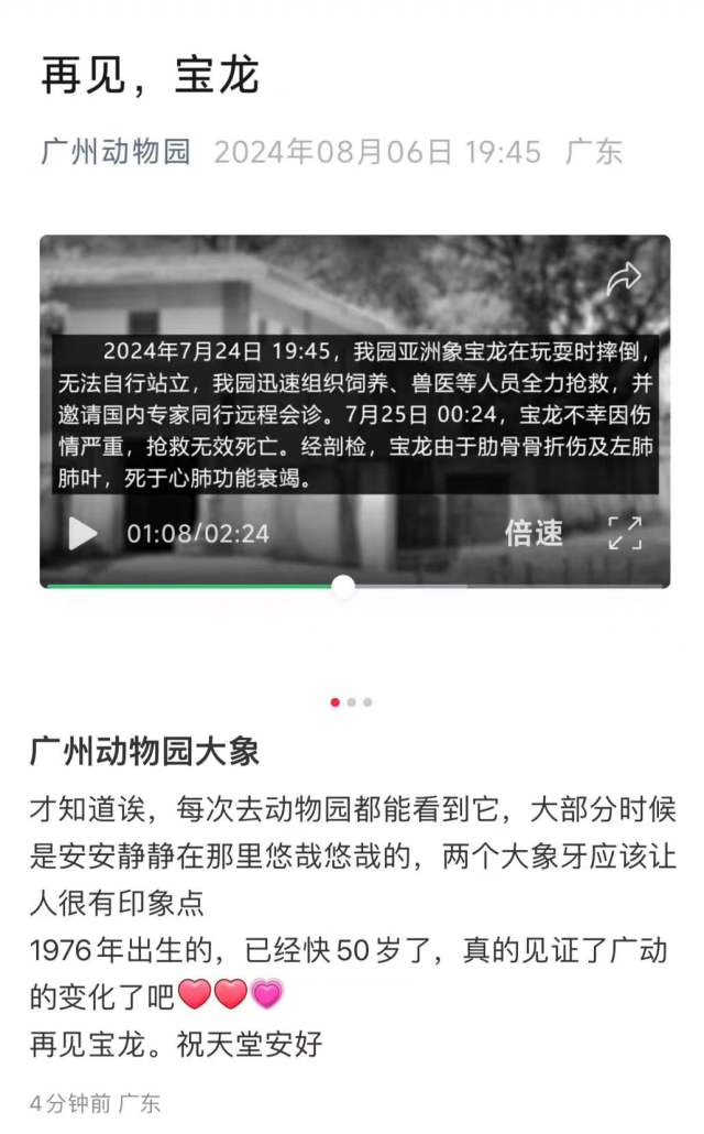 网友们发帖怀念