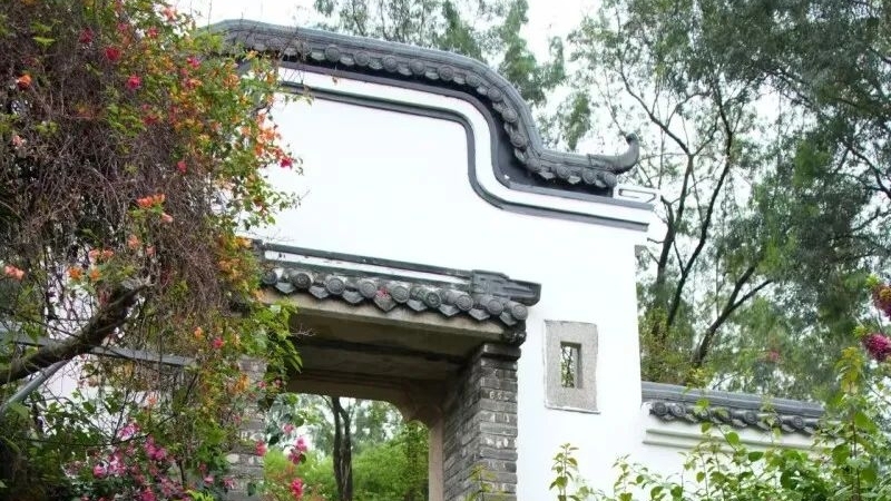 【三年初见成效·大V说】村播基地、岭南新乡村样板…全国大V探索“百千万工程”新图景