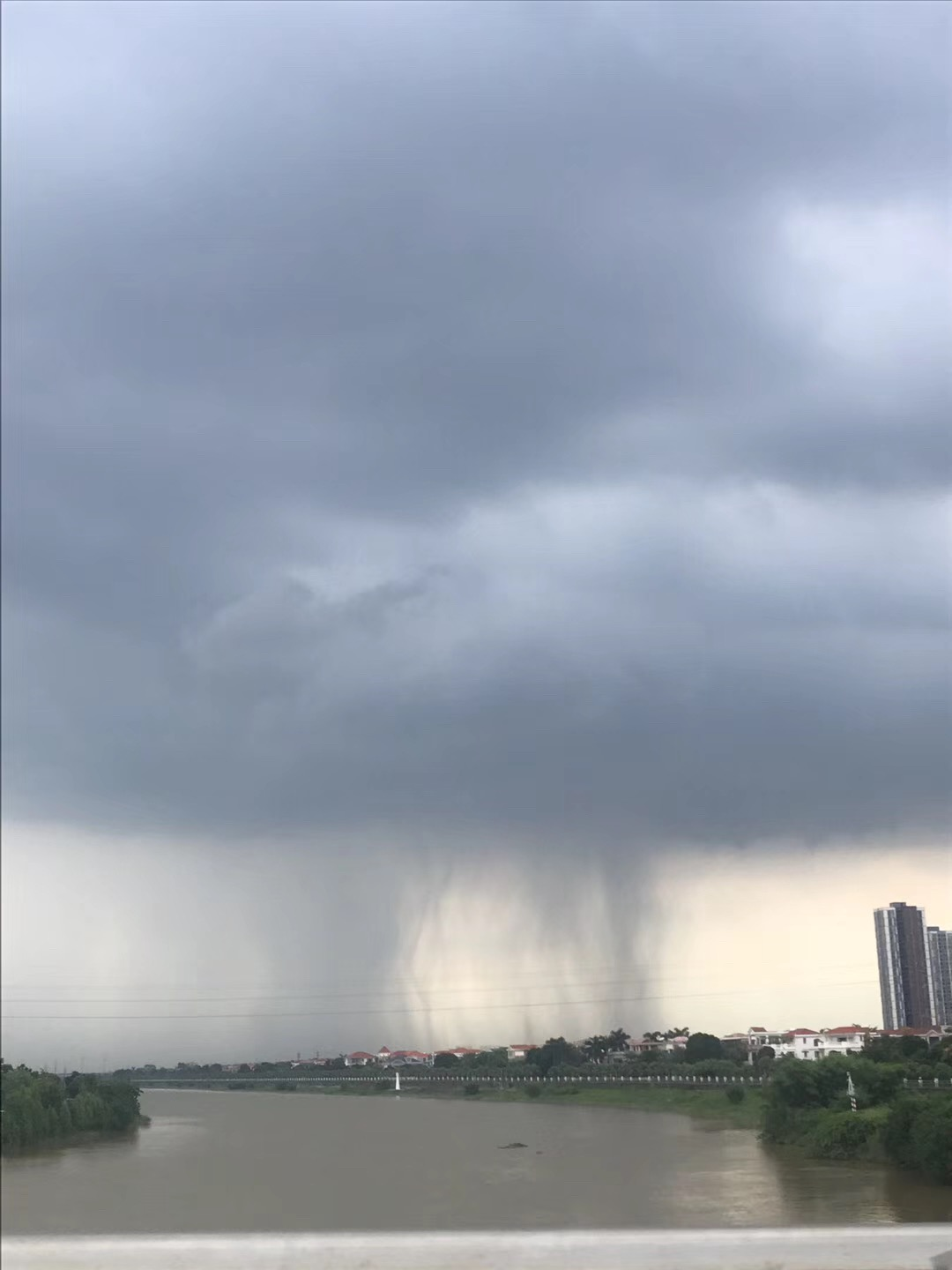 图说：庞大雨云笼罩顺德。南方+网友刘小姐摄