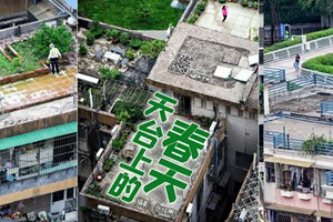 天台上的春天：方寸之地 别样生活