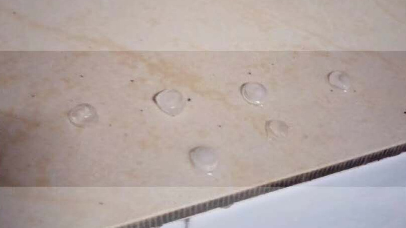 11日晚上8时左右,新会区会城镇下起了冰雹,图为市民拍到的冰雹。 11日晚上8时左右,新会区会城镇下起了冰雹,图为市民拍到的冰雹。