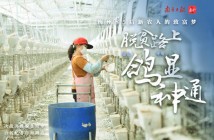 大学生毕业返乡创业带动近2000户贫困户增收脱贫 大学生毕业返乡创业带动近2000户贫困户增收脱贫