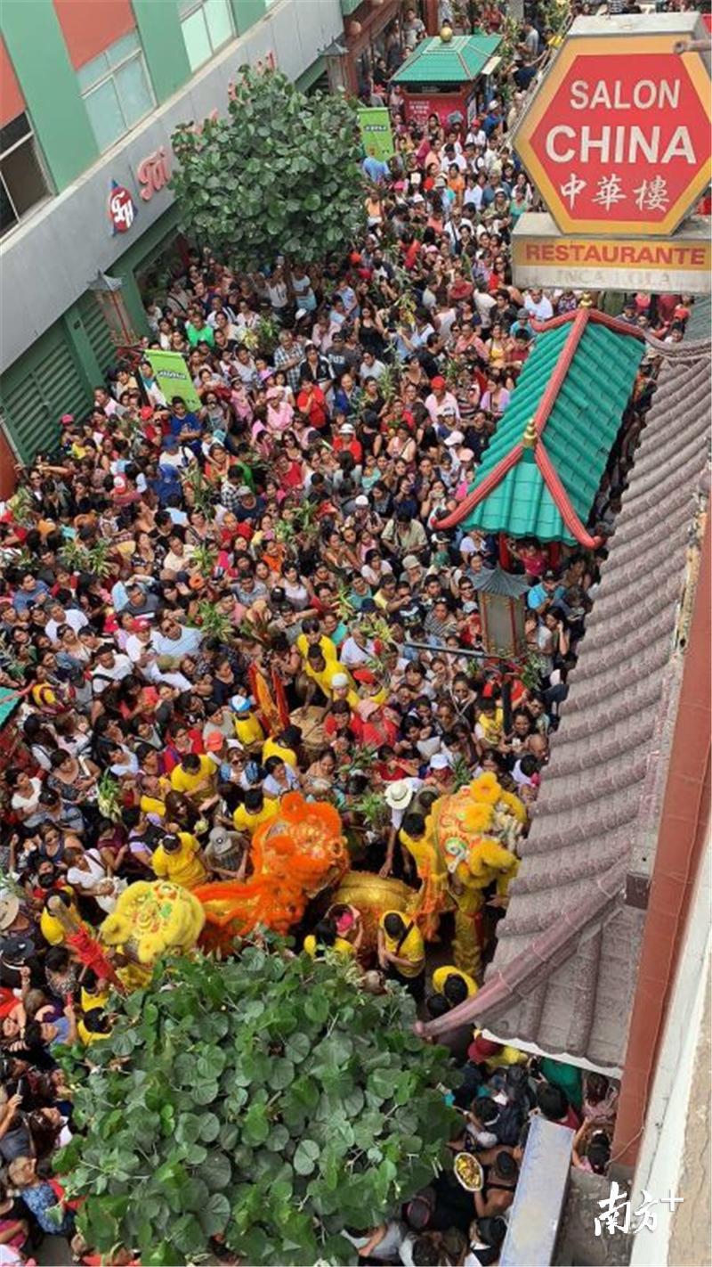 舞龙舞狮闹新春活动在秘鲁利马唐人街隆重上演。邓振棠供图