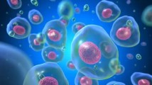 中山大学最新研究:肿瘤患者过度“控糖”可能反而增加肺转移风险 中山大学最新研究:肿瘤患者过度“控糖”可能反而增加肺转移风险