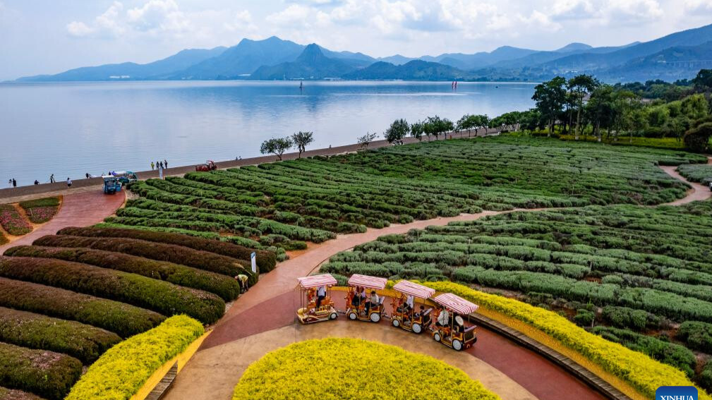 Summer tourism booms in Yunnan's scenic areas