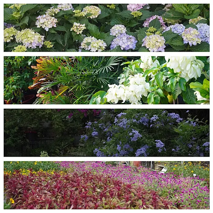一束精致完美的捧花.jpg