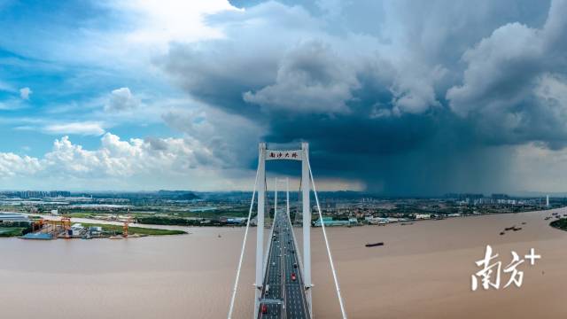 6月26日，南沙大桥一边蓝天，一边暴雨，雨热分明。渔夫 摄