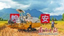 水稻机收减损技能大比拼:早稻收割开镰 无人农机"发威" 水稻机收减损技能大比拼:早稻收割开镰 无人农机"发威"
