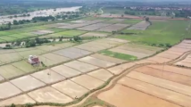 我国粮食主产区夏种加快推进 进度已过八成 我国粮食主产区夏种加快推进 进度已过八成
