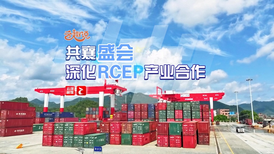 云趣说2024丨共襄盛会，深化RCEP产业合作