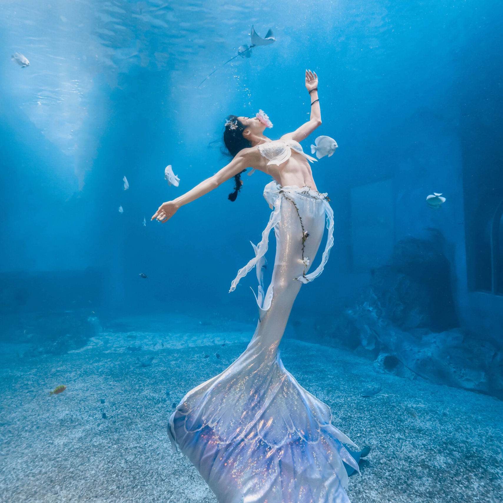 Mermaids gather in Shenzhen for the 2024 China Mermaid Open!