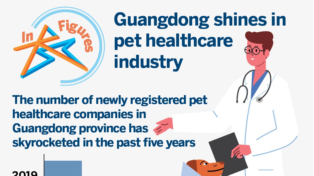 Guangdong shines in pet healthcare industry