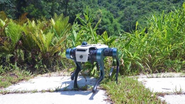 越疆最新发布的六足机器狗。图源南方+