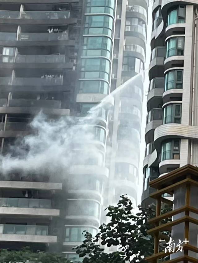 无 受访者 供图