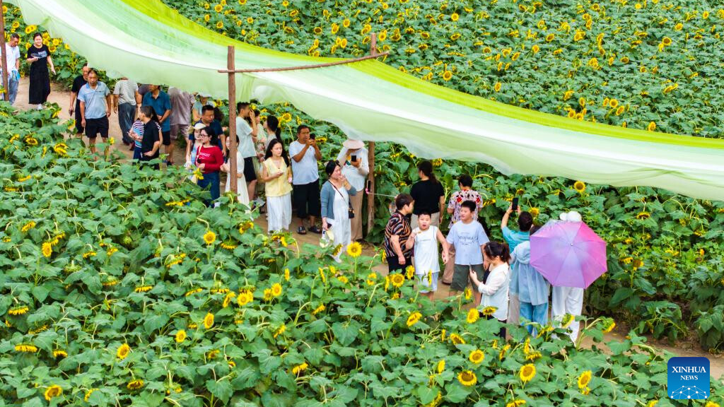Summer travel in full swing across China