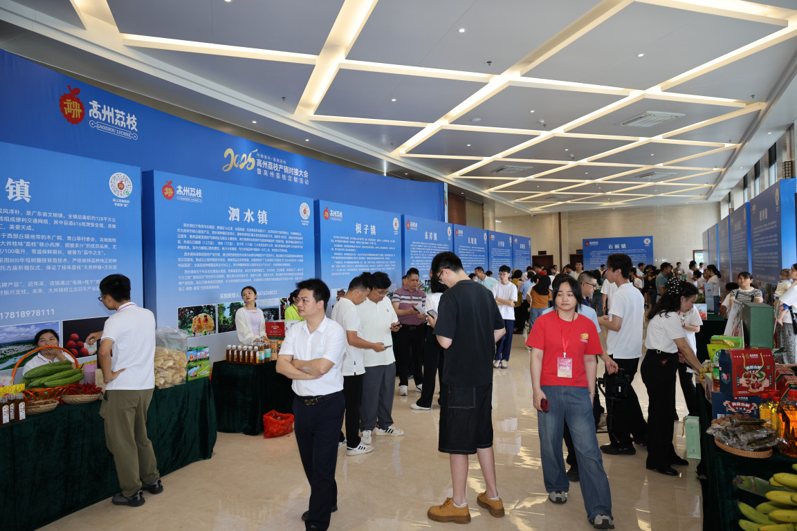 高州荔枝产销对接大会上，美团专场对接会吸引众多当地荔枝企业洽询交流（吴昊 摄）