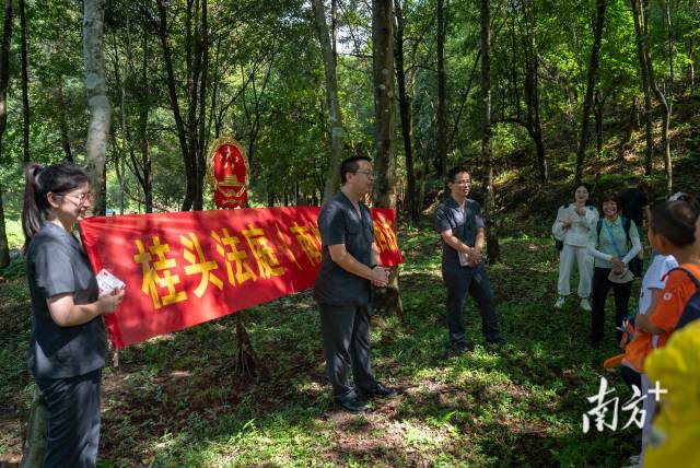 法官们把巡回法庭开到森林里，为游客普法。