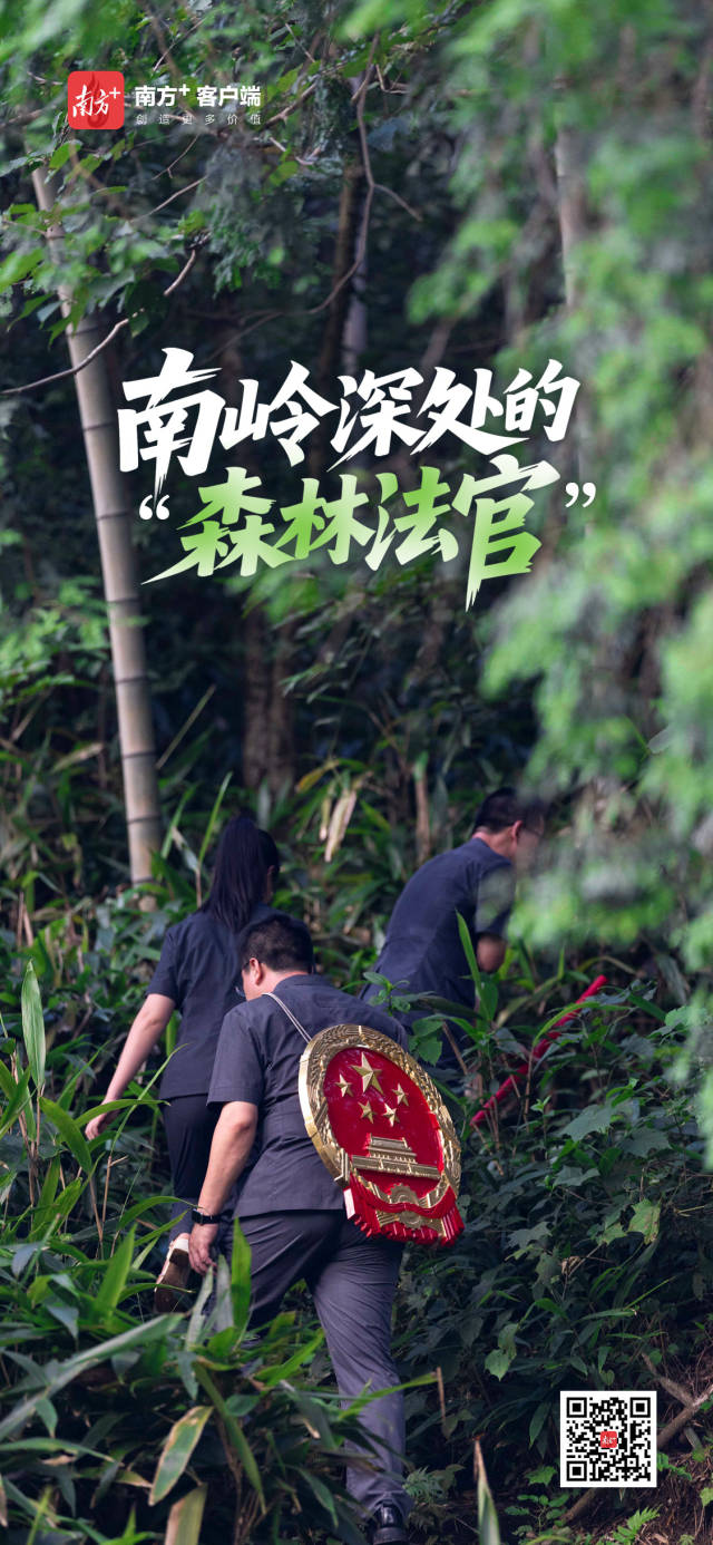 泰康人寿宣城中支重疾先赔保险金24万元