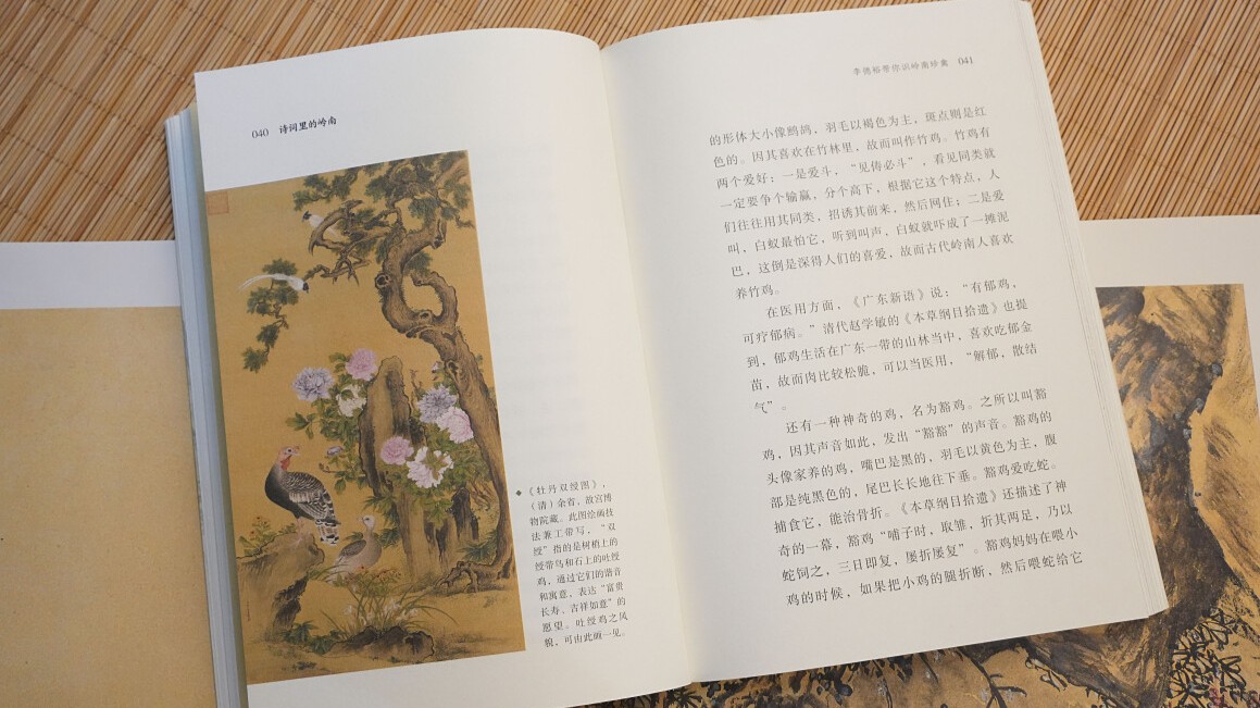 《诗词里的岭南》新书分享会亮相南国书香节 诗词为钥解码岭南千年风华