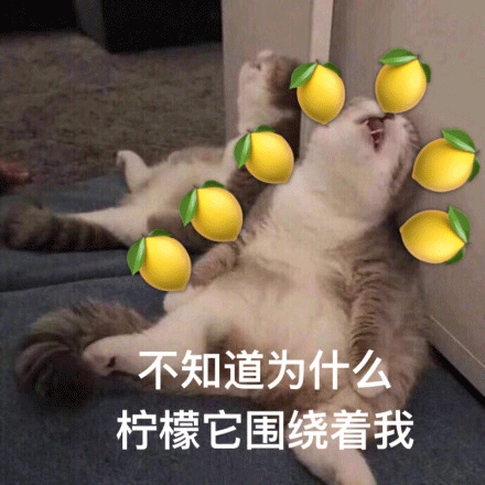 粤省事_20250812_163428.gif