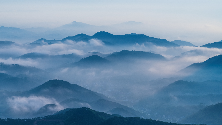 绿美广东生态建设深入推进三周年 绿水青山变为“幸福靠山”