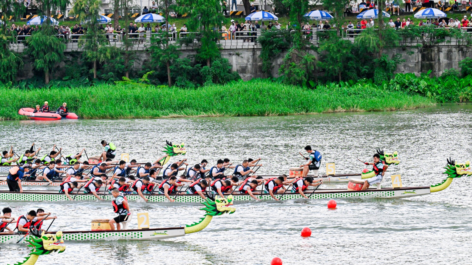 Dragon boat event in Guangzhou's Conghua draws 80,000 with lychees and fireworks