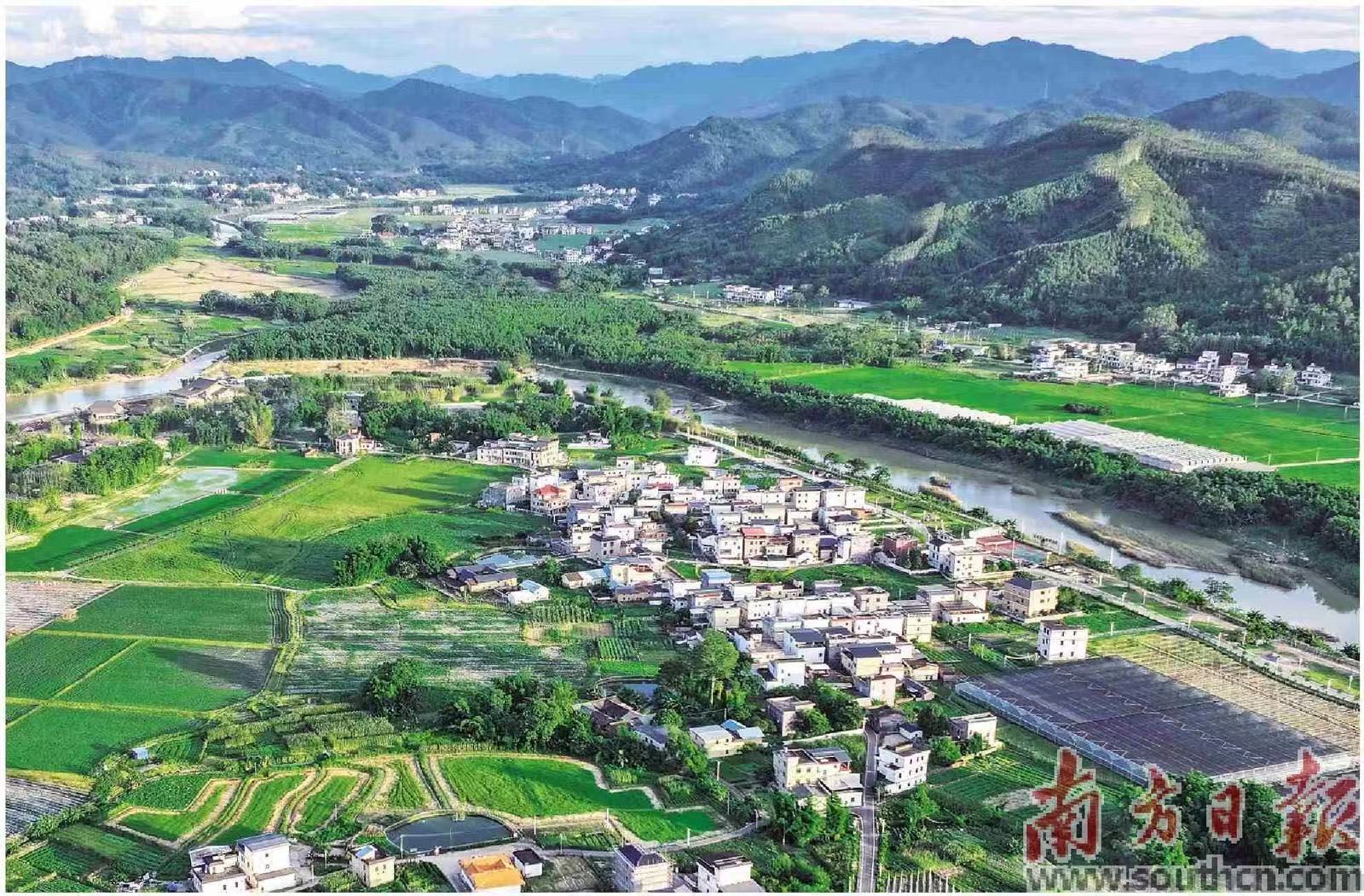 韶关市新丰县马头镇乌石岗村。南方日报记者 张冠军 摄