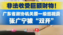 非法收受巨额财物!广东省政协机关原一级巡视员张广宁被“双开” 非法收受巨额财物!广东省政协机关原一级巡视员张广宁被“双开”