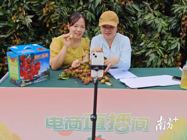 网红大V“汤圆”对着镜头讲解荔枝，让消费者感受廉江荔枝诱人之处。