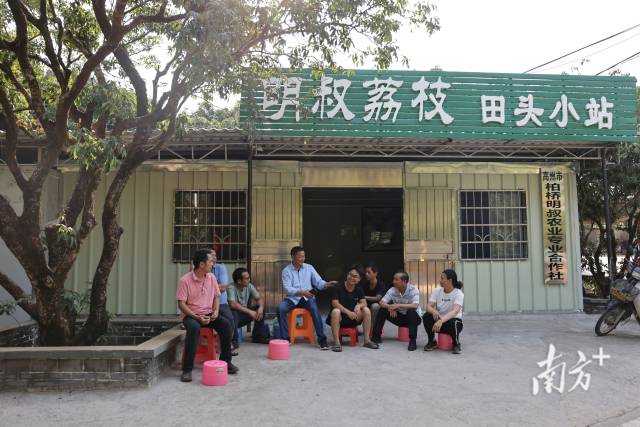 何金明与合作社社员交流。