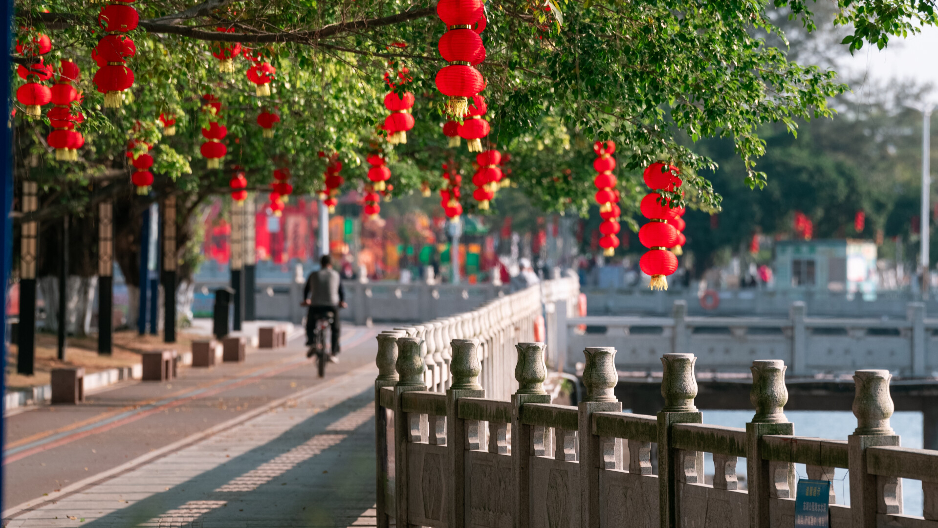 InPics | Maoming's Dianbai  in "red" with strong New Year vibe