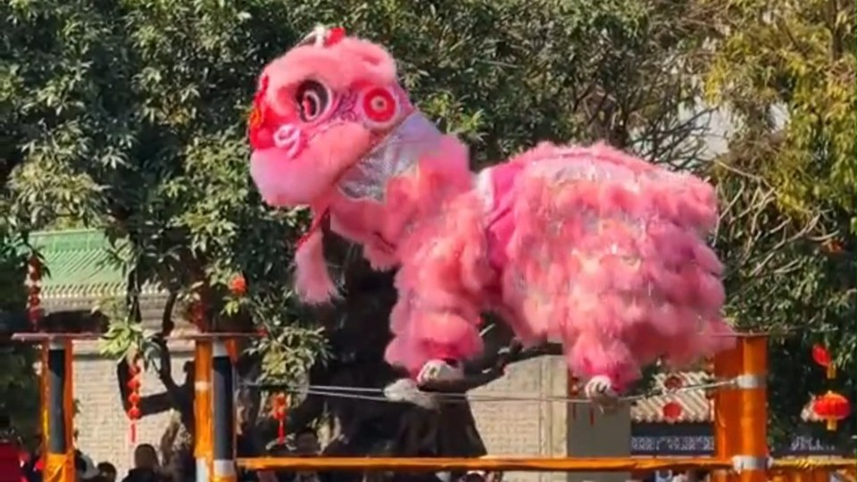 Mesmerizing lion dance over water of Guangzhou intangible cultural heritage