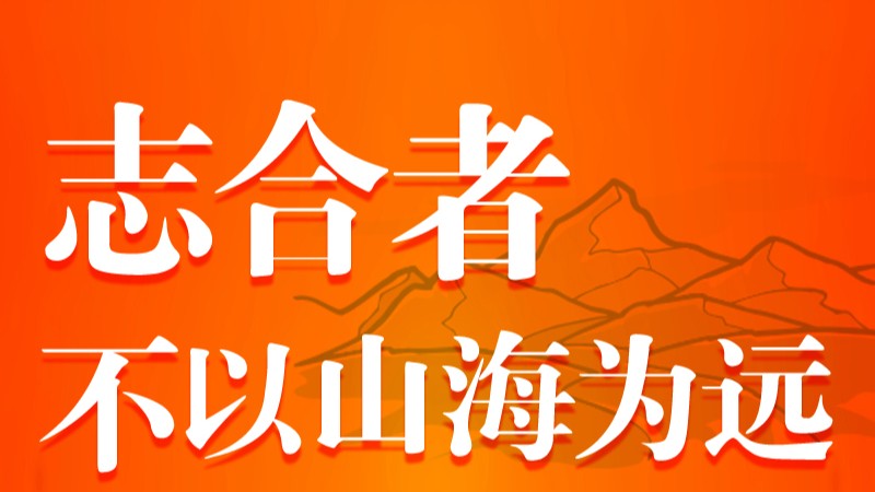 跟着习主席看世界｜独木不成林 习主席金砖话“共赢”