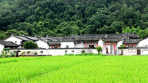 “隐秘而伟大”的红色交通线,梅州大埔有何故事? “隐秘而伟大”的红色交通线,梅州大埔有何故事?
