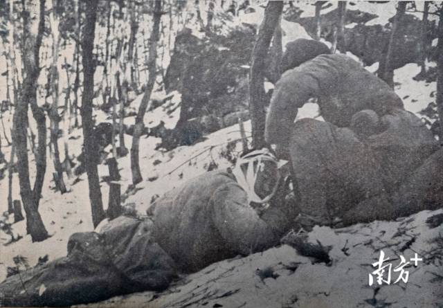 1951年，帽落山阻击战，卫生员正在给一名受伤的战士包扎伤口。  