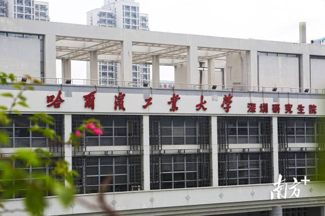 哈尔滨工业大学深圳研究生院校园一角。朱洪波 摄