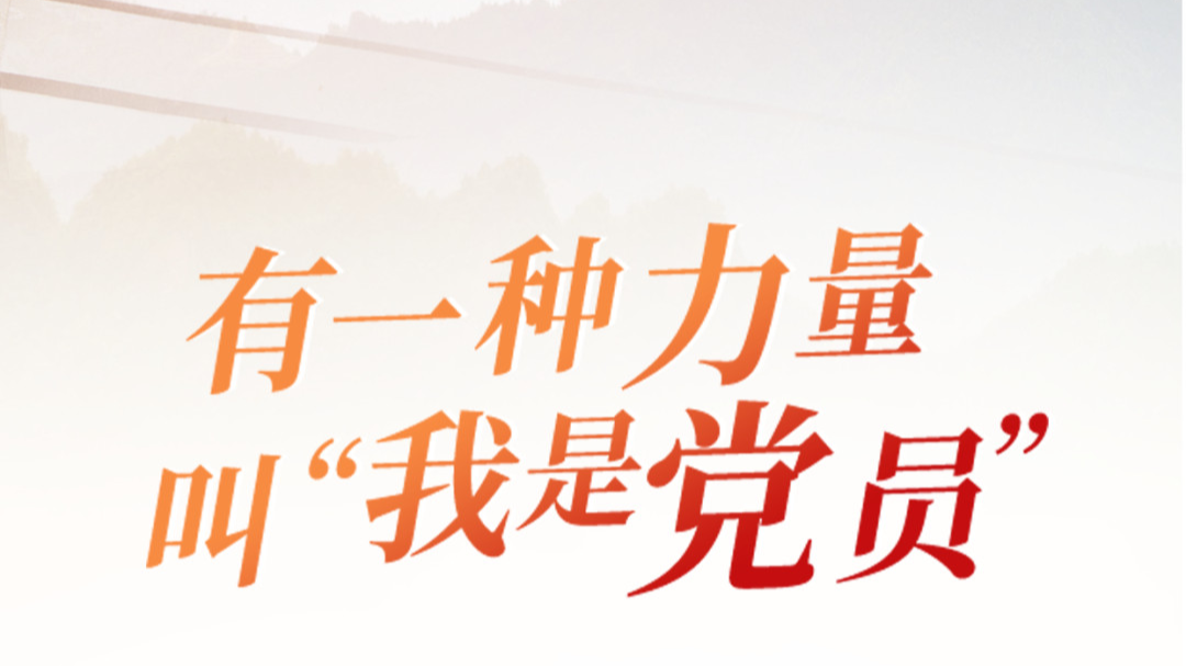 有一种力量叫“我是党员”