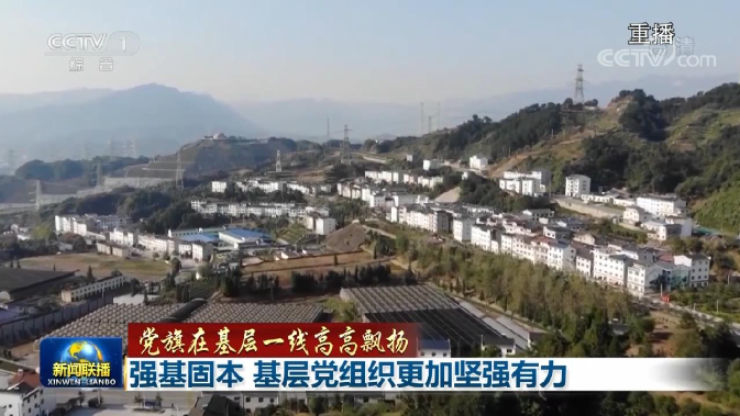 强基固本 基层党组织更加坚强有力