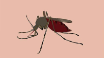 蚊子会“致命”！广东疾控提醒五一出境游注意事项