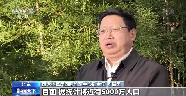 国家林草局：到2025年全国竹产业总产值破7000亿元