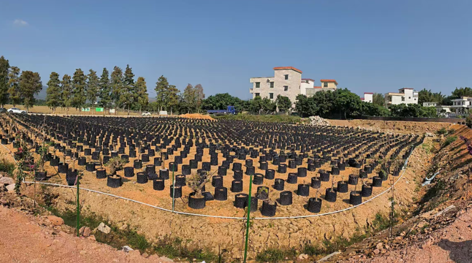 广东省老科学技术工作者协会赴郁南县东坝镇调研