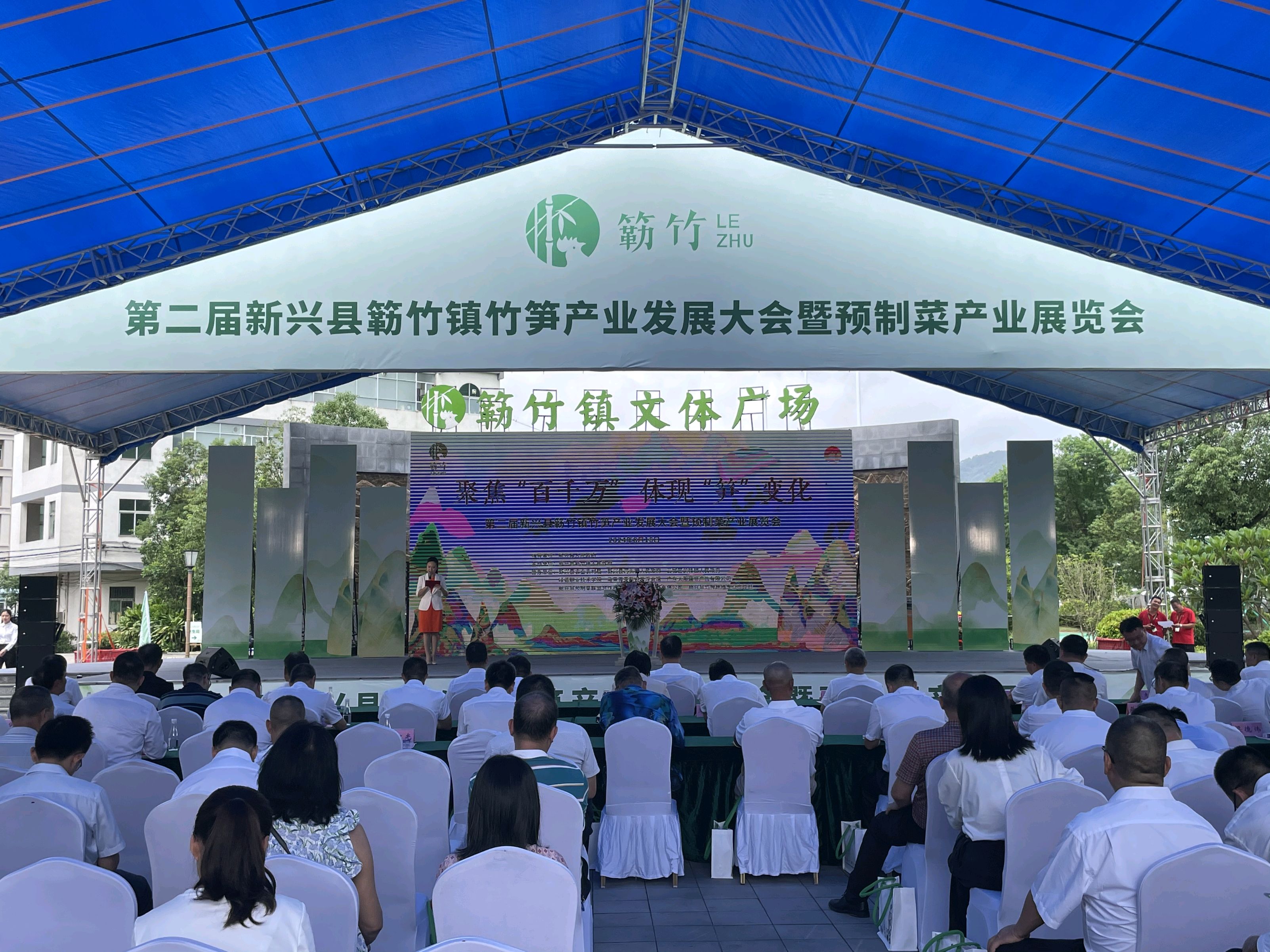 聚焦“百千万工程”丨新兴县簕竹镇竹笋产业带动村民实现致富