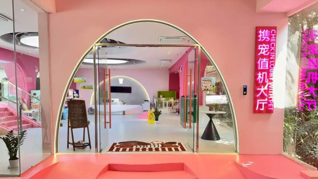 Stress-free pet travel: Inside Guangzhou's animal-friendly airport